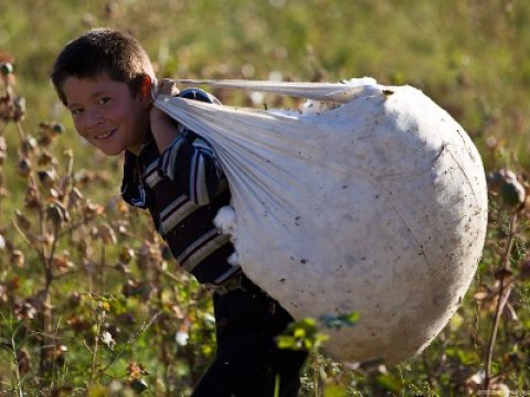 “Ağ qızıl” qulları...