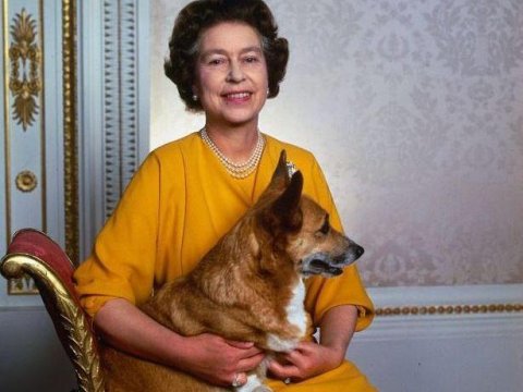 Dövlət başçılarının it-pişik sevgisi - Kim hansı heyvanı saxlayır? - FOTOLAR