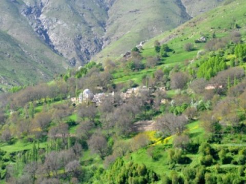 Özəl qayda-qanunu olan kənd: Burada siqaret çəkmirlər, sarımsaq yemirlər – FOTO 