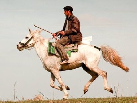 Tərəkəmə mətbəxinin ÖZƏLLİKLƏRİ: Onlar niyə çay içmirlər?