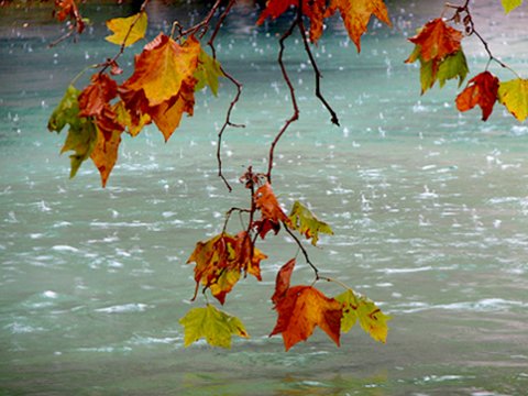 Noyabr ayının hava PROQNOZU