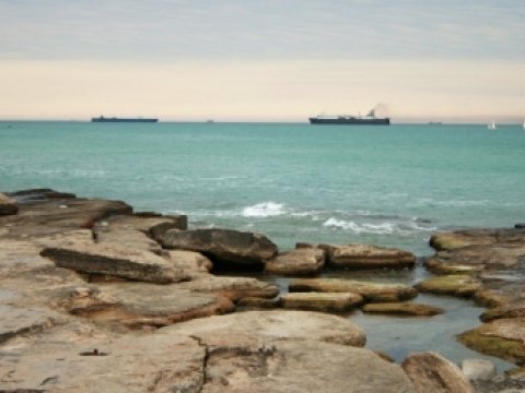  Rusiya Xəzər dənizinin bioresurslarının qorunmasına dair sazişi ratifikasiya edib 