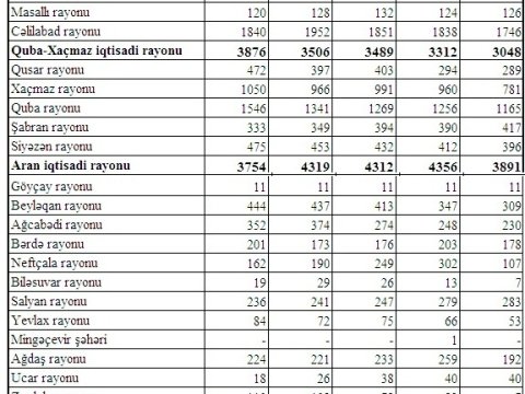 Azərbaycanda ən çox və ən az eşşəyi olan rayonlar - Maraqlı SİYAHI