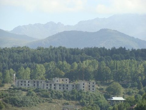 Topxana meşəsindən müstəqilliyə aparan yol -  XRONİKA+FOTOLAR