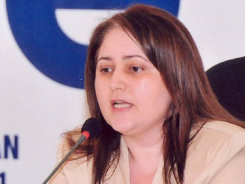 “Cinayətkar qruplar internetlə uşaqları qurbana çevirirlər” 