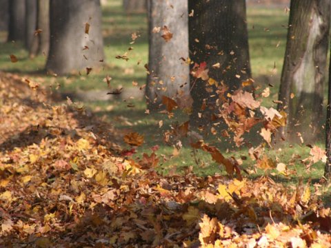 Dekabr ayının hava PROQNOZU