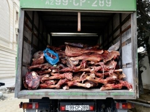  Nazirlik müayinəni başa çatdırıb  - xəstəlik törədicisi tapılıb  