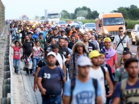 Norveçi tərk edən miqrantlara 9 min dollar ödənəcək