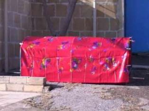  Dayının bacısı oğlunu qətlə yetirməsinin səbəbləri məlum olub 