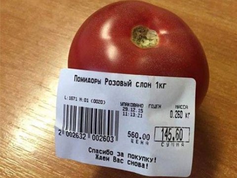 Ruslar pomidorun bir dənəsini 6 türk lirəsinə yeyirlər