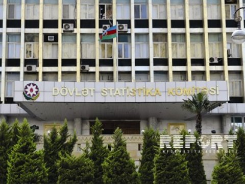 Nazirliyin şöbə müdiri Statistika Komitəsinin Aparatına rəhbər təyin edilib