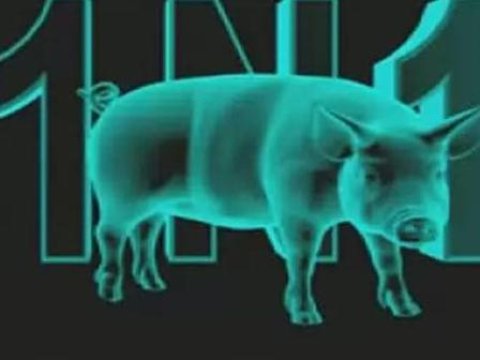 Türkiyədə “donuz qripi” sürətlə yayılır – daha 6 nəfər ölüb 