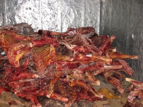  Bakıda 4 tona yaxın mənşəyi məlum olmayan ət aşkarlandı 