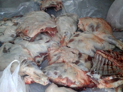 Gürcüstandan Azərbaycana gətirilən donuz cəmdəkləri saxlanıldı - FOTO