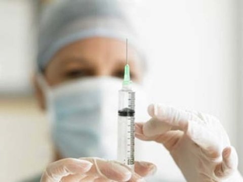 Azərbaycana yeni peyvənd gətirilir