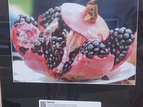 “Metro Gallery” ilin layihəsi oldu - FOTO