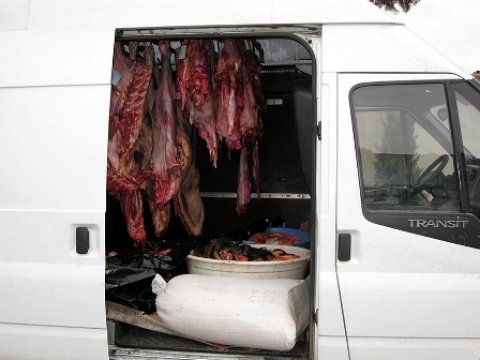  Paytaxta 1100 kq yararsız  ət gətirilib - Foto