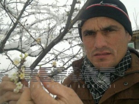  Cəlilabadda alça ağacı çıçək açıb  