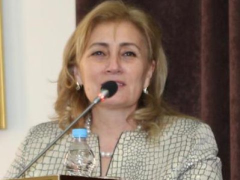 Məlahət İbrahimqızı işsizlərin problemini parlamentdə qaldırdı