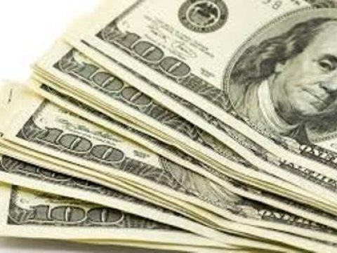 Qadının ölkədən xarici valyuta çıxarmasının qarşısı alınıb