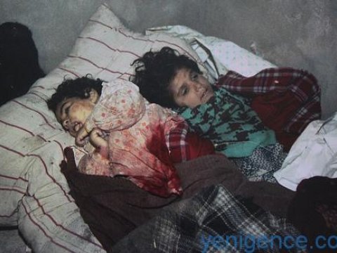 Havay ştatı da Xocalı soyqırımını pislədi