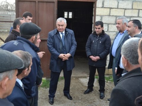 Füzulidə kənd təsərrüfatının inkişafı müzakirə olundu