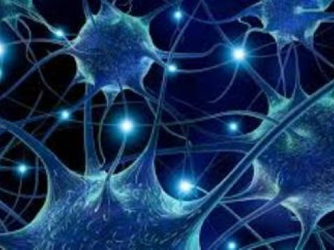  Xərçəngi məhv edən qidalar 