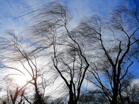 Sabahın hava PROQNOZU: Bakıda duman, külək olacaq 