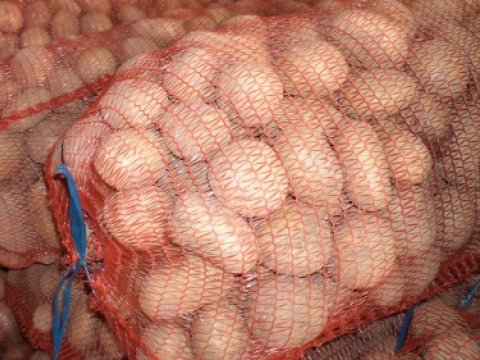 Kartof oğrusu tutuldu – Biləsuvarda 