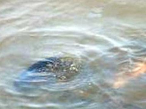 İş adamının atası gölməçədə boğulub 