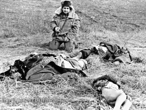 Azərbaycanlı deputatın 6 dildə məqaləsi