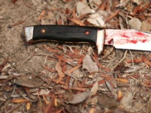  Lerikdə baş verən tükürpədici cinayətin təfərrüatları məlum olub 