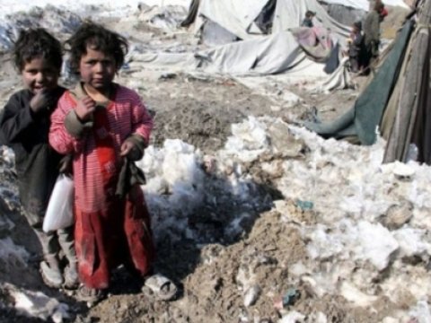 Suriyalı uşaqlarla bağlı statistika – 3.7 milyon nəfər...