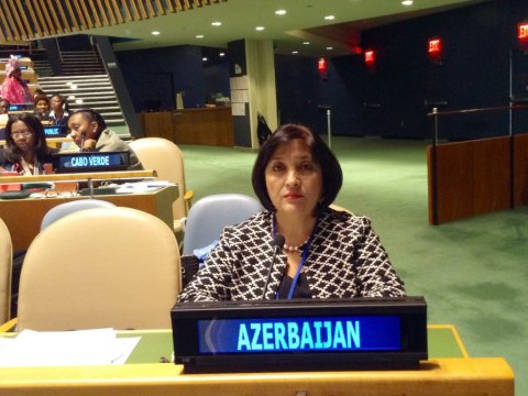 Azərbaycanlı deputat BMT-nin Qadınların Statusu üzrə Komissiyasına qatılıb