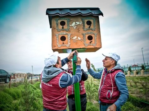 "Kapital Bank" yaşıllaşdırma işlərini davam etdirir - FOTOLAR