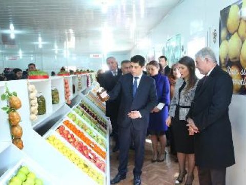 “Bələdiyyə yarmarkası” - FOTOLAR 