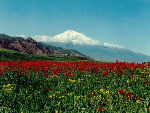 “Kəlbəcər azad olunacaq, amma..”-MÜSAHİBƏ