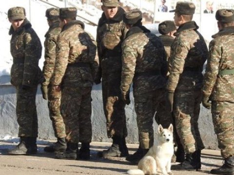 Qarabağda yaralanan erməni əsgərlər Yerevana gətirilir