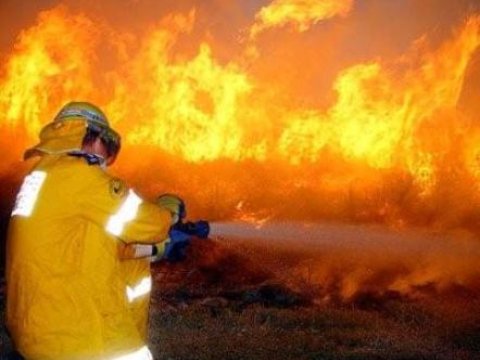 Masallıda güclü yanğın - VİDEO