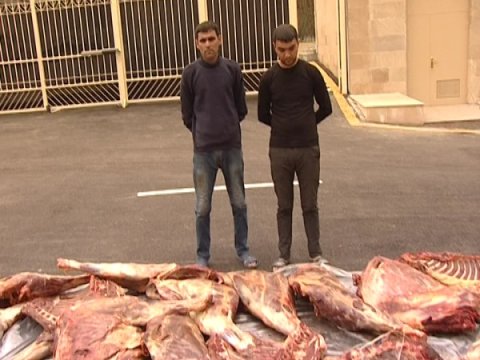 Polis at əti satanları tutdu - FOTOLAR