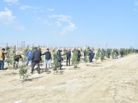  “Azərsu”dan vacib aksiya