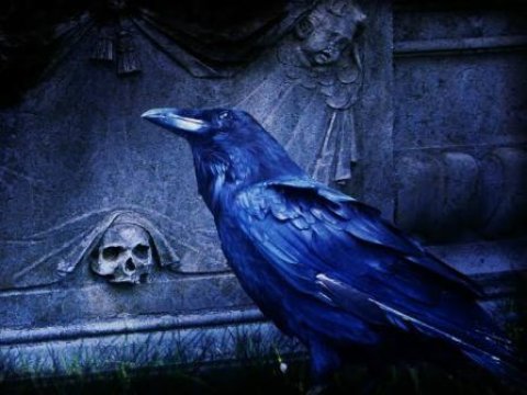  İnsanlar həftənin hansı günü hansı səbəbdən ölürlər - ARAŞDIRMA  