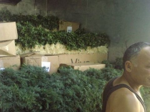 “Göyərti kralı”nın qətlinin səbəbləri açıqlandı - TƏFƏRRÜAT