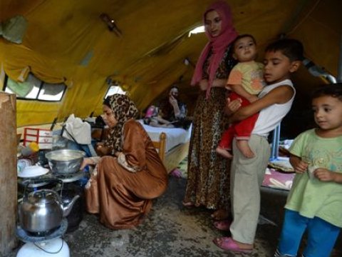 Dünyada miqrantların sayı 321 milyona çatacaq