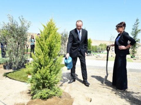 Prezident və xanımı ağacəkmə kampaniyasında - FOTOLAR