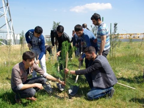 “Yaşıl həyat tərzi” naminə iməcilik