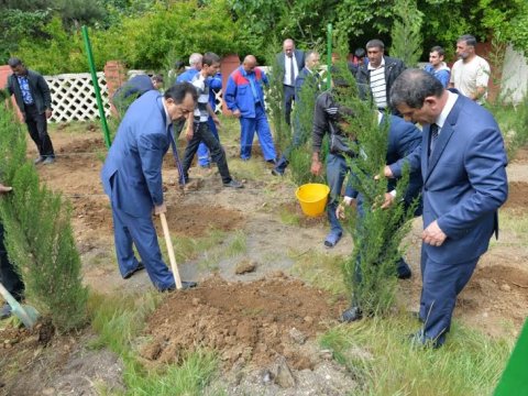 Heydər Əliyevin ildönümü Lənkəranda belə qeyd edildi - Fotolar