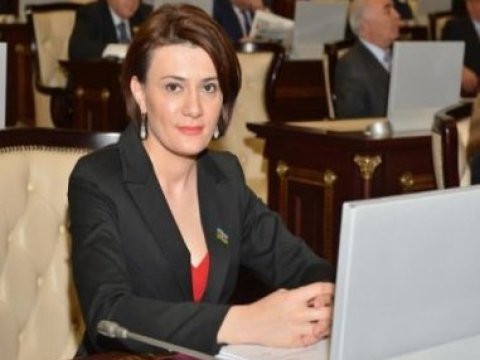 Yeni deputat Ailə, qadın və uşaq komitəsindən çıxmaq istəyir