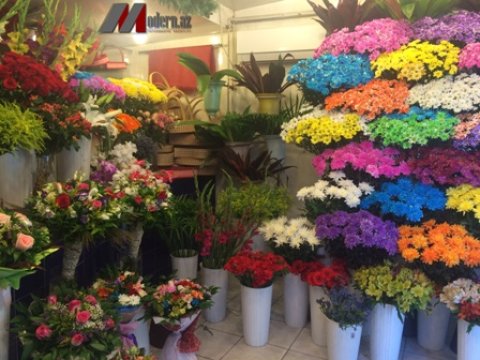 &ldquo;He&ccedil; kimə g&uuml;l lazım deyil&rdquo; - G&uuml;l salonlarından&nbsp;REPORTAJ+FOTOLAR