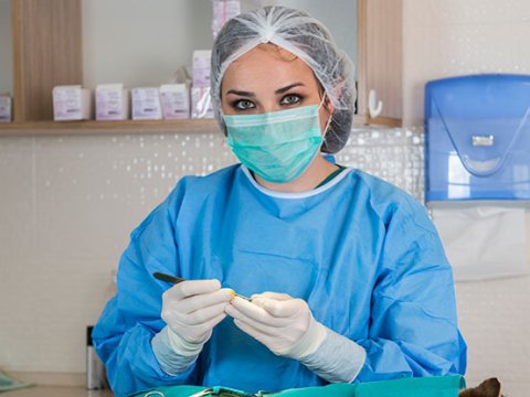 Sahibsiz it-pişiyə qayğı - Bakıda heyvanlar &uuml;&ccedil;&uuml;n klinika və mehmanxana yaradılıb - REPORTAJ  